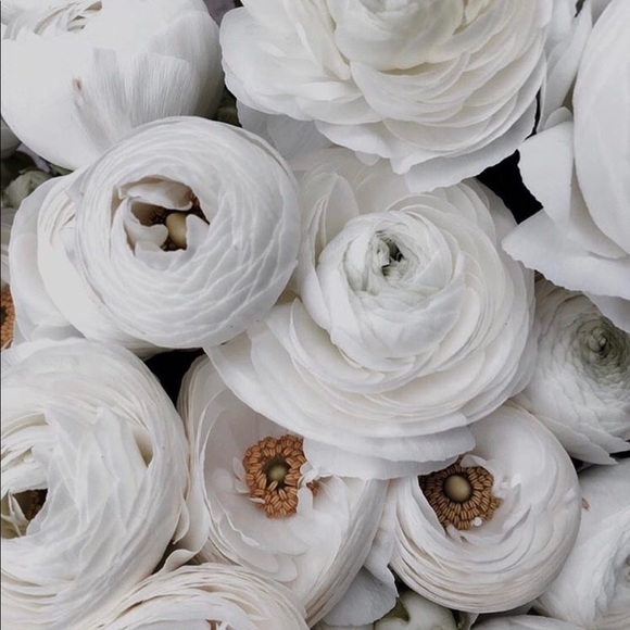 I’m a Posh Ambassador! - Picture 8 of 8